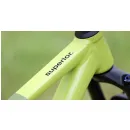 Superior XF 6.2 DC Gloss Olive