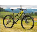 Superior XF 6.2 DC Gloss Olive