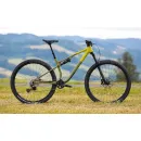 Superior XF 6.2 DC Gloss Olive